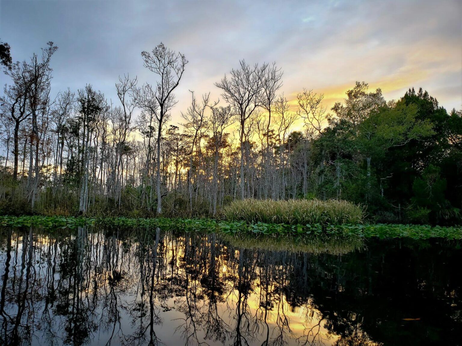 Best Things to Do on the Suwannee River | Jasmine Breeze RV Park